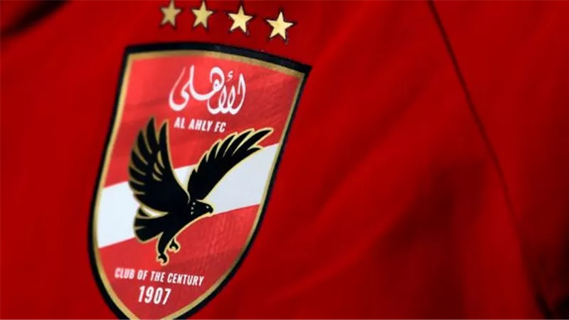 قناة الأهلي عبر السوشيال ميديا والمنصات الرقمية