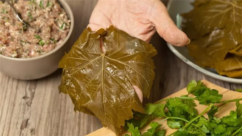 فوائد أكل ورق العنب لصحة الجسم