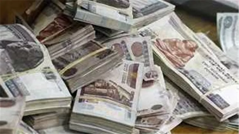 تأثير زيادة الأجور على الموظفين والقطاع الخاص في مصر