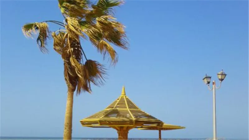 كورنيش رأس البر والأسواق الشعبية: دليل الزائر الكامل