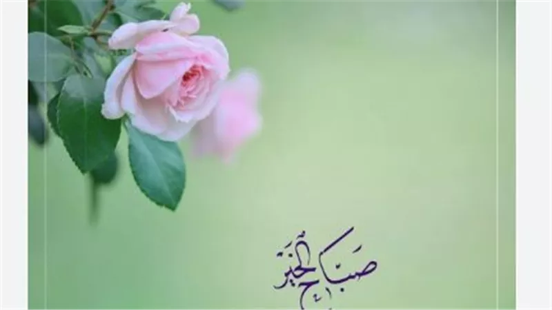 أدعية الصباح لليوم الأربعاء.. بداية يومك مع ذكر الله