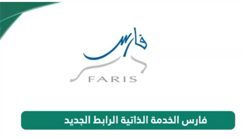 كيف يدعم نظام فارس رؤية السعودية 2030 في التحول الرقمي؟