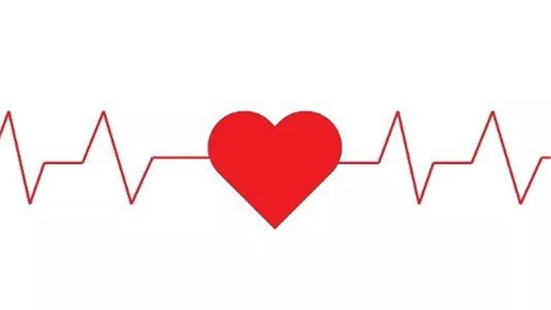 خمسة أطعمة تقلل انسداد الشرايين وتحمى القلب