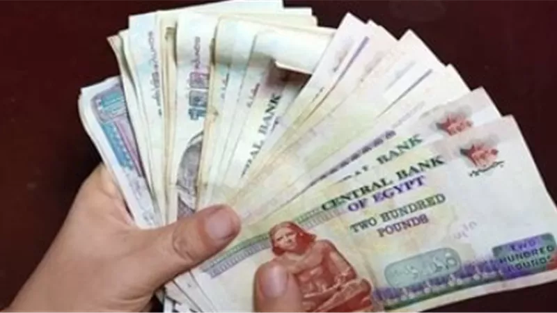 جدول صرف المرتبات للأشهر الأخيرة من 2025: سبتمبر – أكتوبر – نوفمبر – ديسمبر
