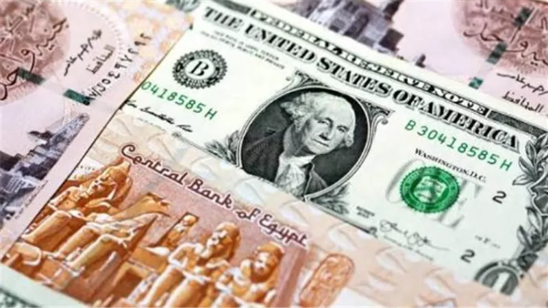 الدولار في مصر خلال التداولات المسائية مستقر في البنوك