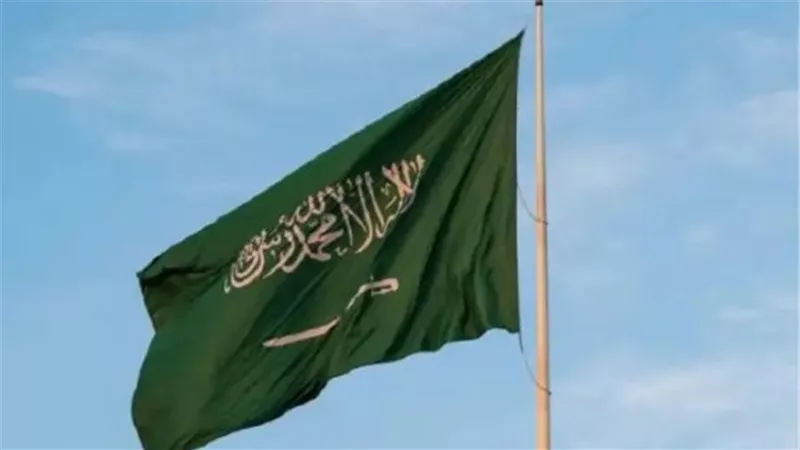 صور اليوم الوطني 95: احتفالات ومظاهر وطنية مميزة