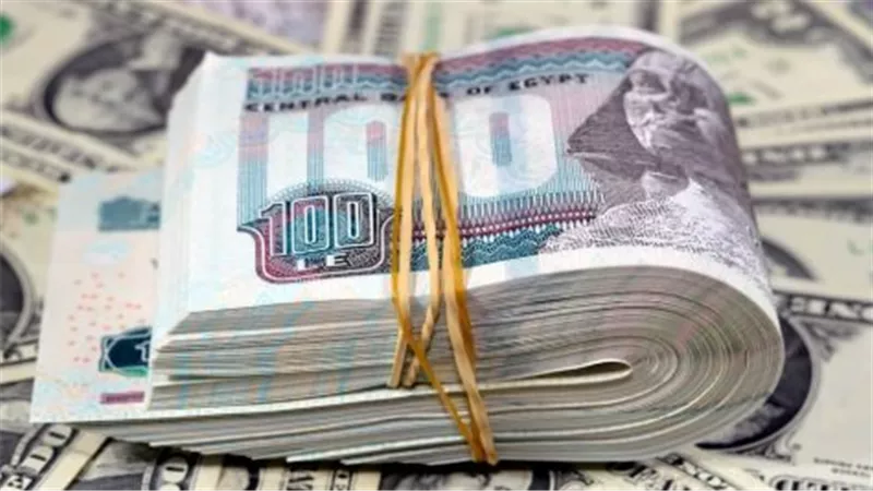 تحليل أسباب استقرار الدولار مقابل الجنيه المصري
