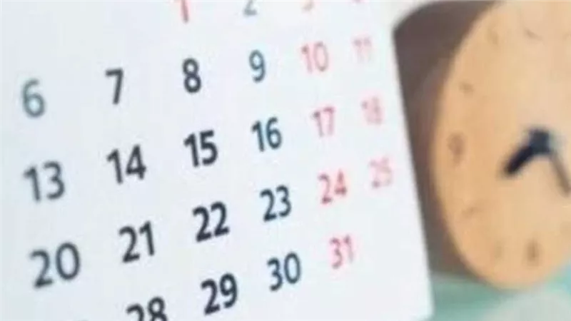العطلات الرسمية بين المدارس والجامعات والقطاع الخاص: دليل كامل لعام 2025