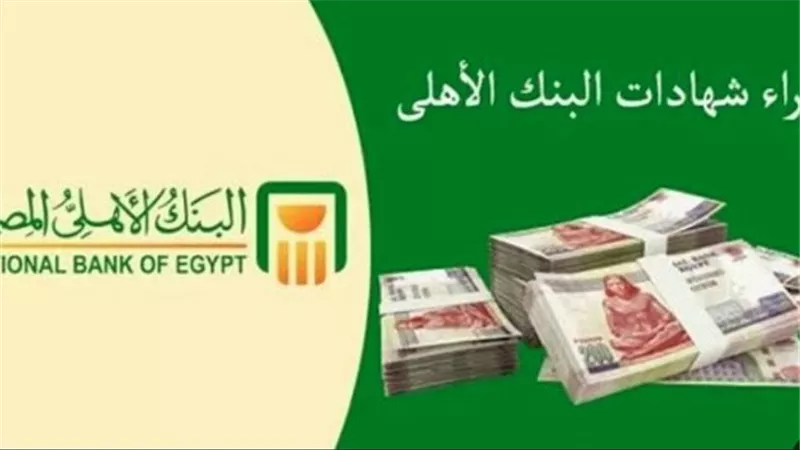 أهم مميزات شهادة البنك الأهلي البلاتينية للمستثمرين الباحثين عن دخل ثابت
