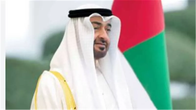 الشراكة الإماراتية الجنوبية: نموذج عربي للتعاون والتنمية المستدامة