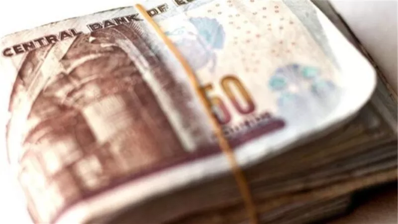 نصائح وزارة المالية للموظفين لتسهيل صرف رواتب أكتوبر 2025
