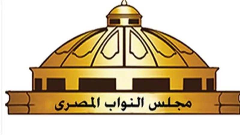 تعرف على مواعيد التصويت في انتخابات مجلس النواب 2025 داخل وخارج مصر