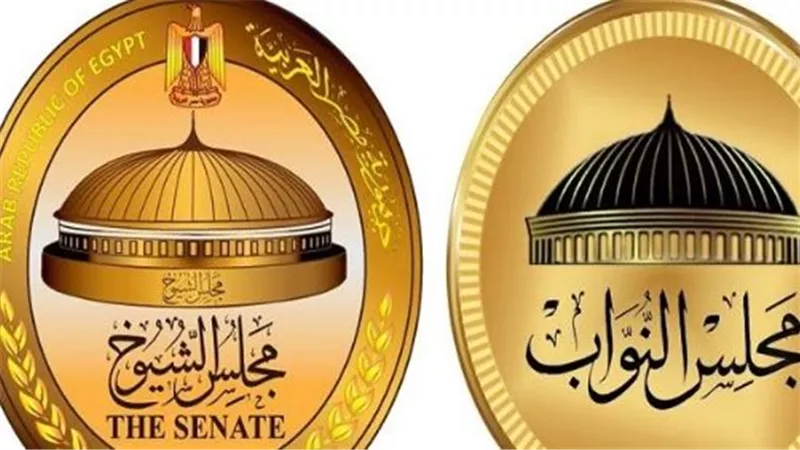 انتخابات مجلس النواب 2025.. موعد الترشح والدعاية والإعادة بالتفصيل