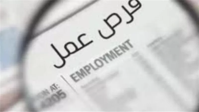 التسجيل الإلكتروني في الوظائف الحكومية المصرية: خطوات ومميزات