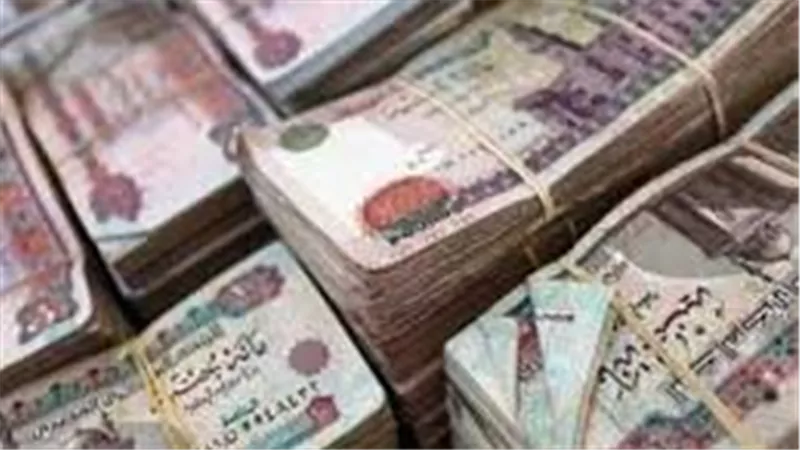 موعد صرف معاشات نوفمبر 2025