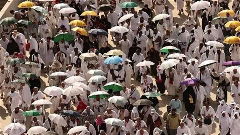 الحوكمة الإلكترونية: دور البوابة المصرية للحج في مراجعة برامج الشركات السياحية وضمان التزامها