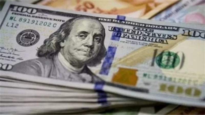 توقعات المستثمرين: كيف يؤثر ثبات سعر الدولار في البنك على حركة الاستثمار الأجنبي المباشر؟