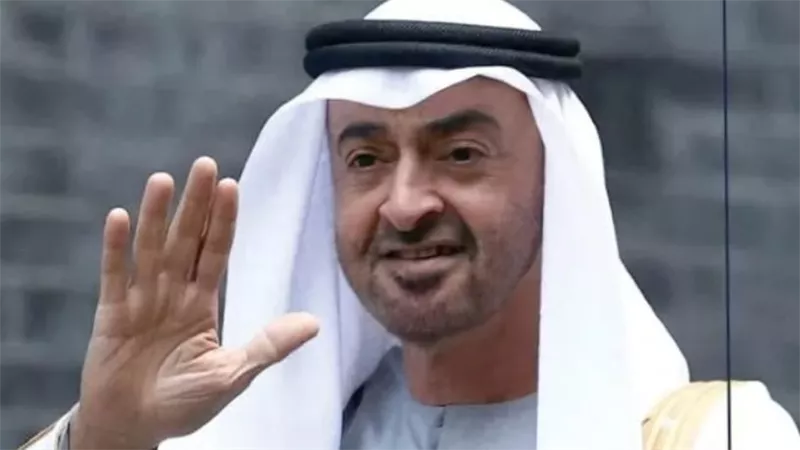الإمارات.. مسيرة عطاء متجددة لترسيخ الاستقرار والتنمية في الجنوب