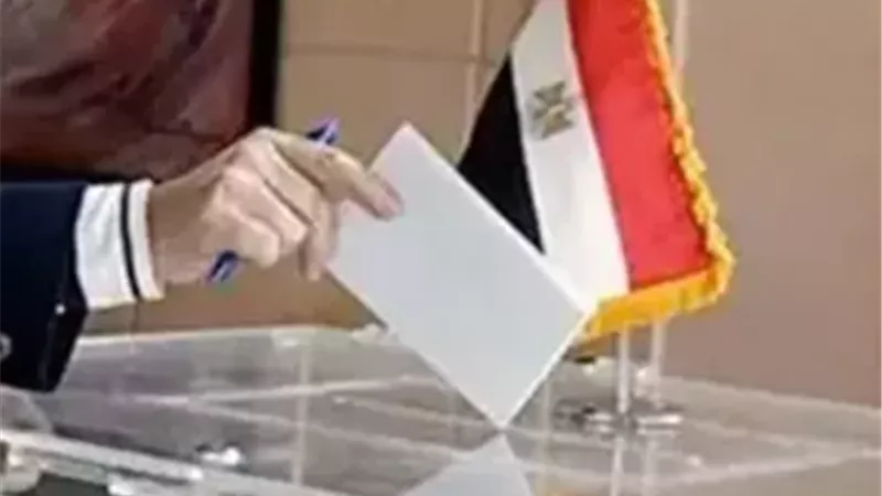 الرقم القومي وبطاقة التصويت: كيفية معرفة لجنتك الانتخابية ورقم القيد في الكشوف