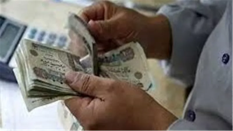 قيمة معاشات شهر ديسمبر 2025. معاشات. قيمة معاشات شهر ديسمبر. التامين. رواتب