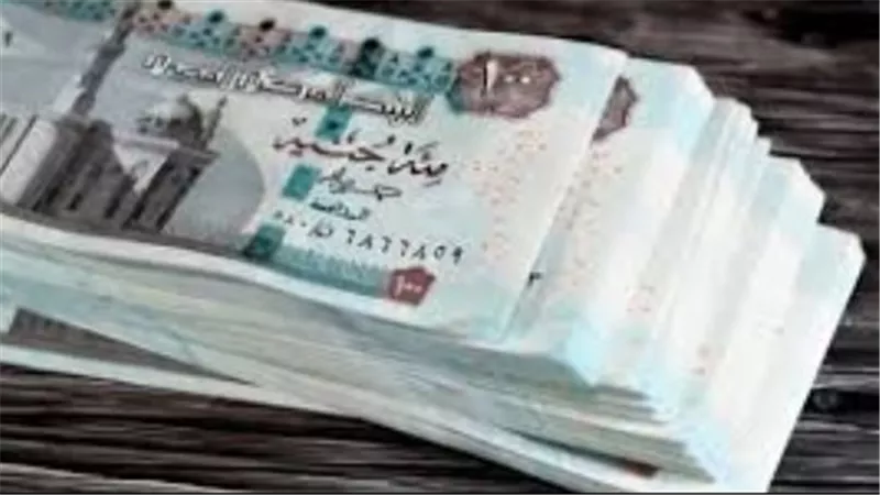 بالأرقام والتفاصيل: القيمة الكاملة لشرائح معاشات شهر ديسمبر 2025 المعلنة