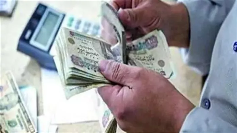 الشريحة الرابعة عشرة: الأعلى قيمة في معاشات ديسمبر 2025 تصل إلى 11592 جنيهًا