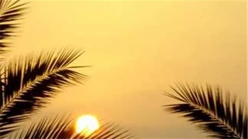 موعد الشروق اليوم في القاهرة والمحافظات.. وأسرار صلاة الضحى وفضائلها العظيمة