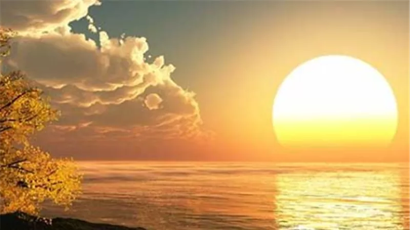 تعليمات بسيطة: كم أقل وأكثر عدد ركعات لصلاة الضحى؟ وما هو الراجح بين الفقهاء؟