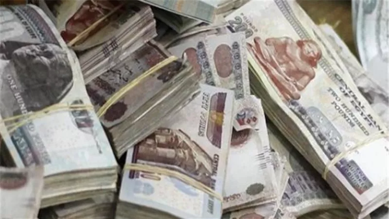 عائد شهري مضمون: دليلك الكامل لشهادات الادخار التي تبدأ من 1000 جنيه