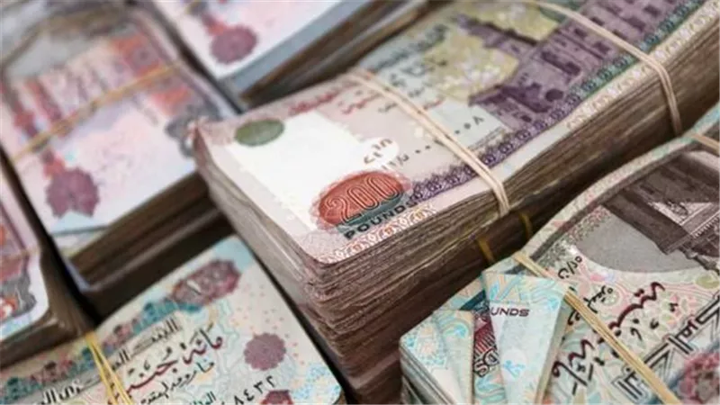 أسرار الادخار: كيف تستغل عروض البنك الأهلي المصري للحصول على أعلى عائد؟