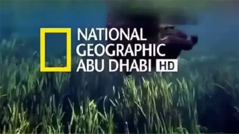 تردد قناة ناشيونال جيوغرافيك 24 ساعة: التردد ومعدل الترميز لضمان جودة HD