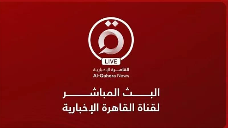 شاهد.. النتيجة الرسمية للمرحلة الأولي من انتخابات مجلس النواب 2025.. القاهرة الإخبارية| AlQahera News Live Stream