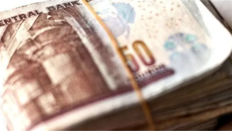 استمرار خطة الشمول المالي: المرتبات متاحة عبر بطاقات ميزة والمحافظ الإلكترونية