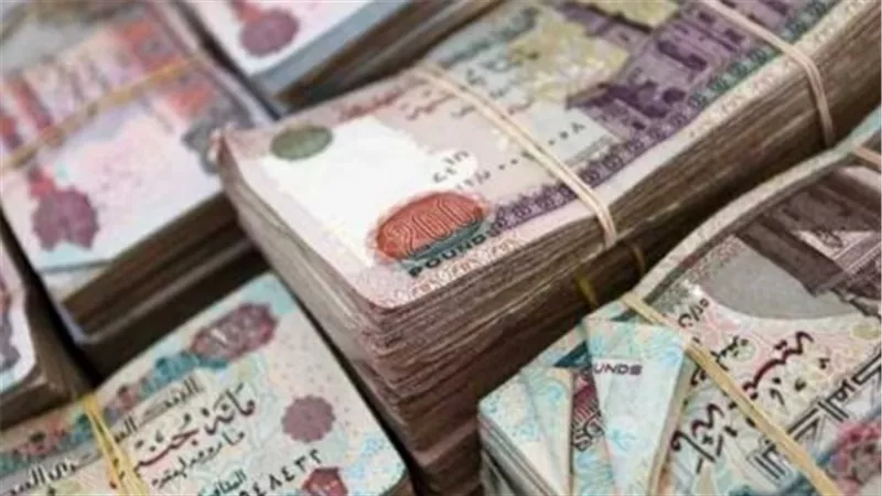 آليات ومنافذ لصرف معاشات شهر ديسمبر 2025