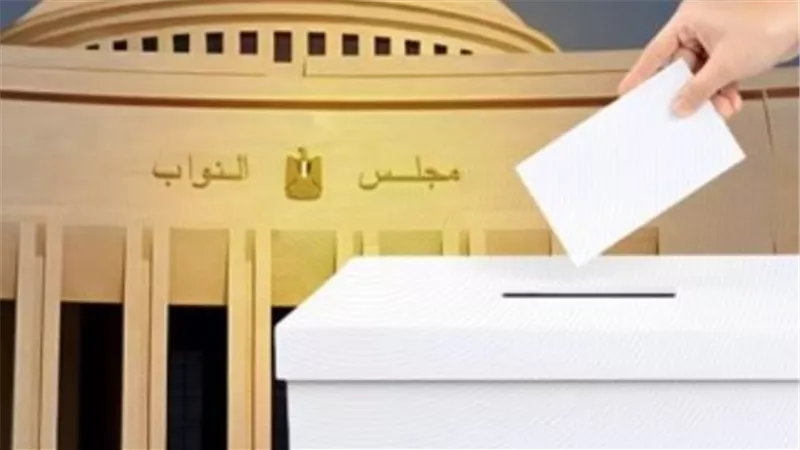 ساعة الصفر: اللجان العامة تبدأ تلقي الطعون الانتخابية تمهيدًا لنتيجة انتخابات مجلس النواب