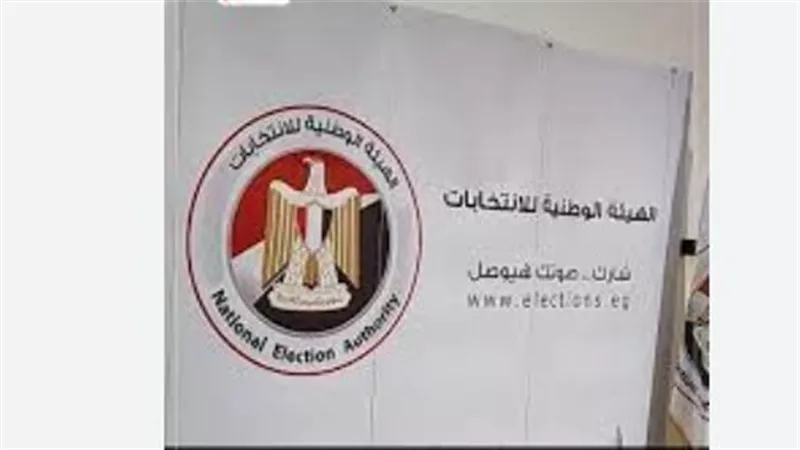 الصمت الانتخابي والإعادة: تفاصيل تصويت المصريين في الخارج والداخل للمرحلة الثانية