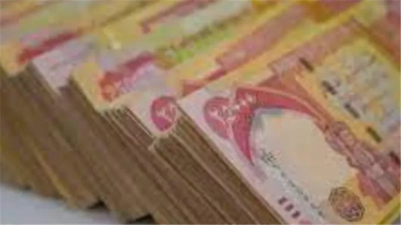 الاستقرار المالي للمتقاعدين: دور نظام الصرف الموحد في ضمان دقة التحويلات