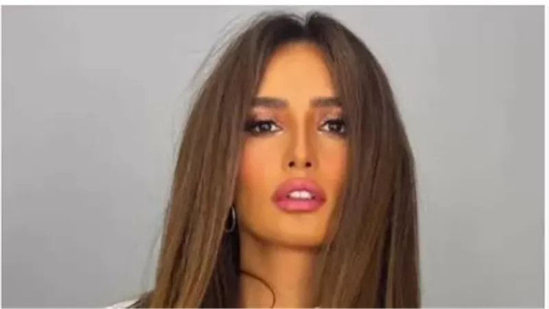 زينة والدراما التلفزيونية: محطات بارزة في مسيرتها من 