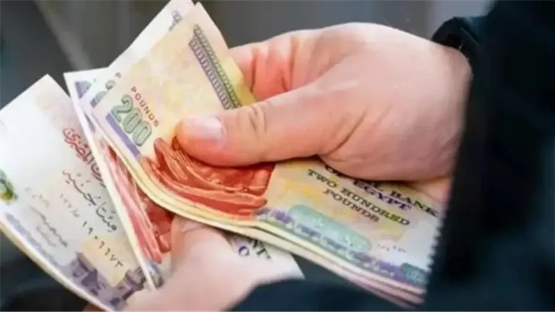 تأمين أعلى للمستقبل: الحد الأقصى لأجر الاشتراك يرتفع إلى 16700 جنيه بنسبة زيادة 15.2%