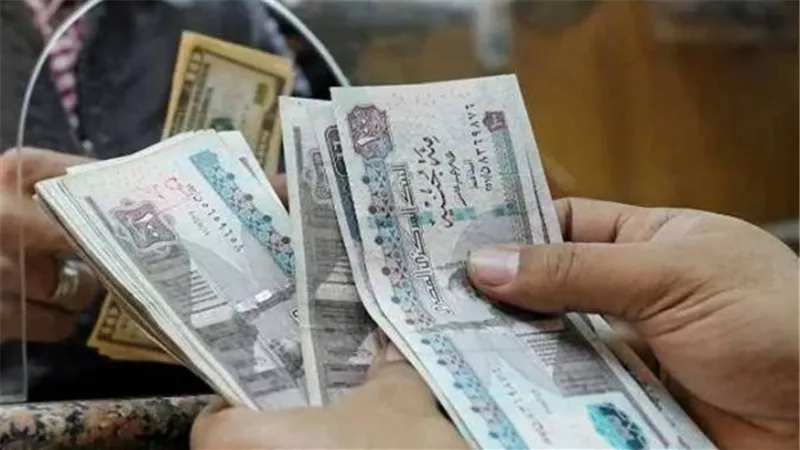 حماية العمالة غير المنتظمة: الحد الأدنى الجديد يضمن التأمين على عمال المقاولات والزراعة بقيمة 2700 جنيه