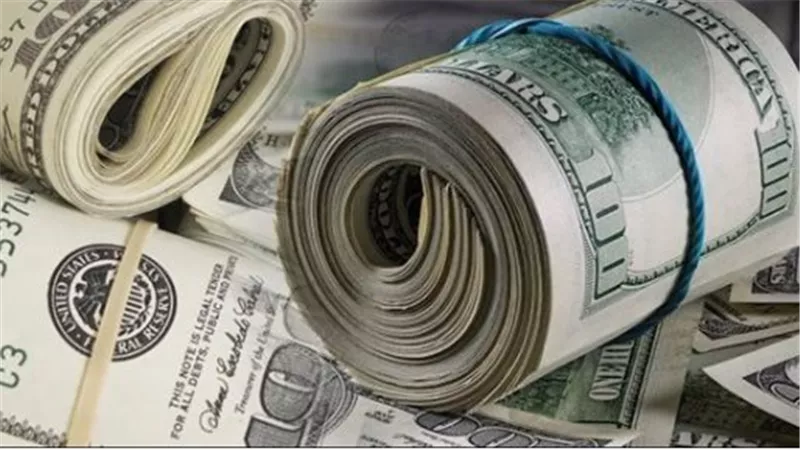ما سعر الدولار داخل البنك المركزي؟