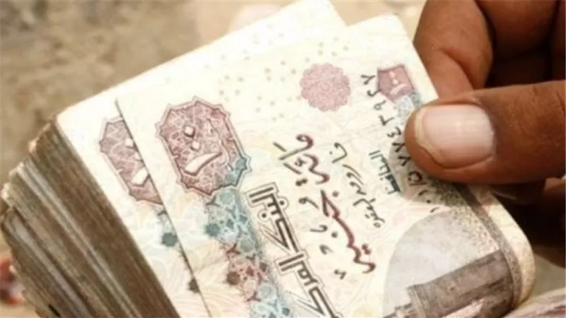قانون التأمينات 2026: كم سيصبح الحد الأدنى للمعاش بعد التعديل الجديد؟ 