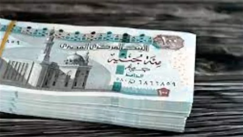 تسهيلات لأصحاب الأعمال: تقديم استمارات تعديل الأجور إلكترونيًا بالتزامن مع زيادة المعاشات