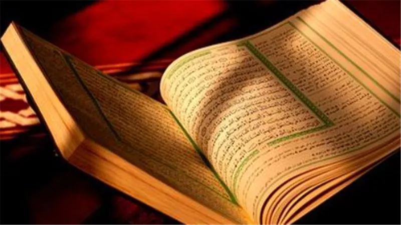 دليل المبتدئين: 4 خطوات عملية من الشيخ محمد كمال لتجاوز صعوبات حفظ الآيات