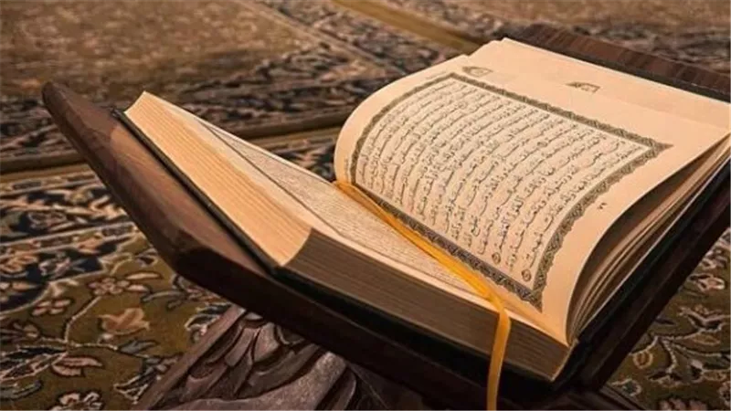 فتاوى الإفتاء: توضيح حكم 