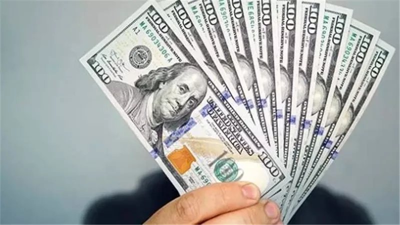 47.56 جنيه سعر شراء الدولار فى البنك المركزى المصرى