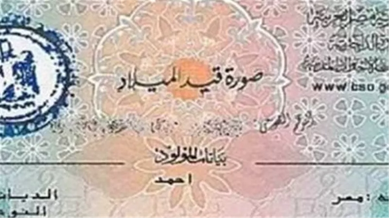 من هو الشخص الذي يحق له استخراج شهادة الميلاد المميكنة للأقارب؟ (شروط 2025)