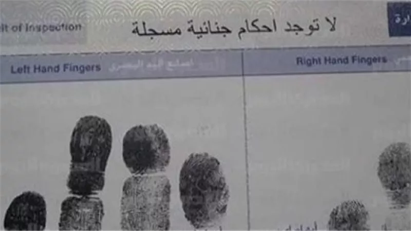 تسهيلًا على المواطنين: خطوات التسجيل لاستخراج الفيش والتشبيه إلكترونيًا (أونلاين)