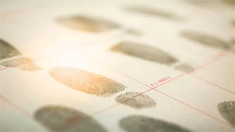 كيفية استخراج صحيفة الحالة الجنائية أونلاين خطوة بخطوة