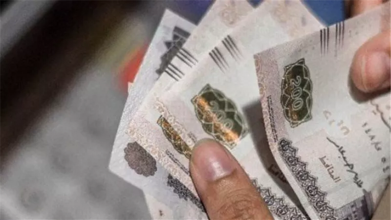 كم تبلغ مرتبات شهر ديسمبر 2025؟ تفاصيل الصرف حسب الدرجة الوظيفية